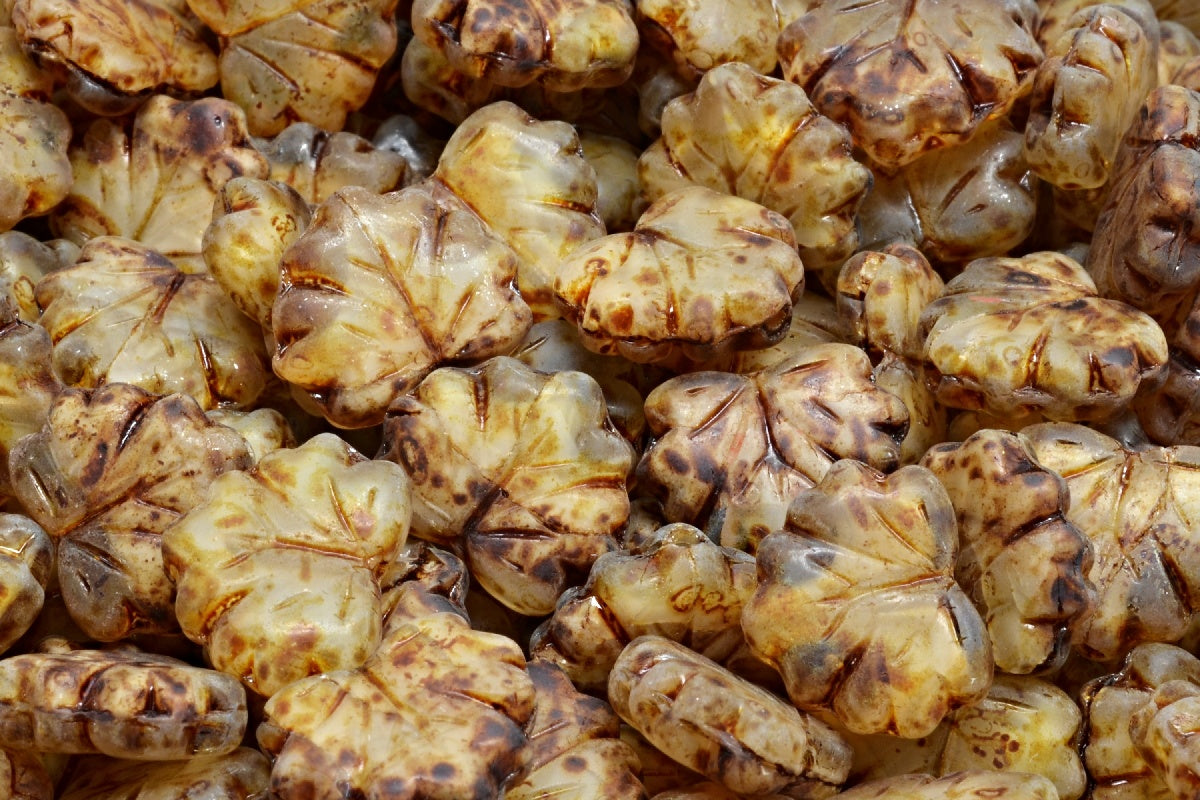 Maple Leaf Beads, Beige Travertin Matte (R0140-86800-84100), Glass, Czech Republic