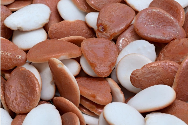 アネモネの花びらビーズ、ホワイトエッチングアプリコットコーティング(02010-ETCH-29121)、ガラス、チェコ共和国