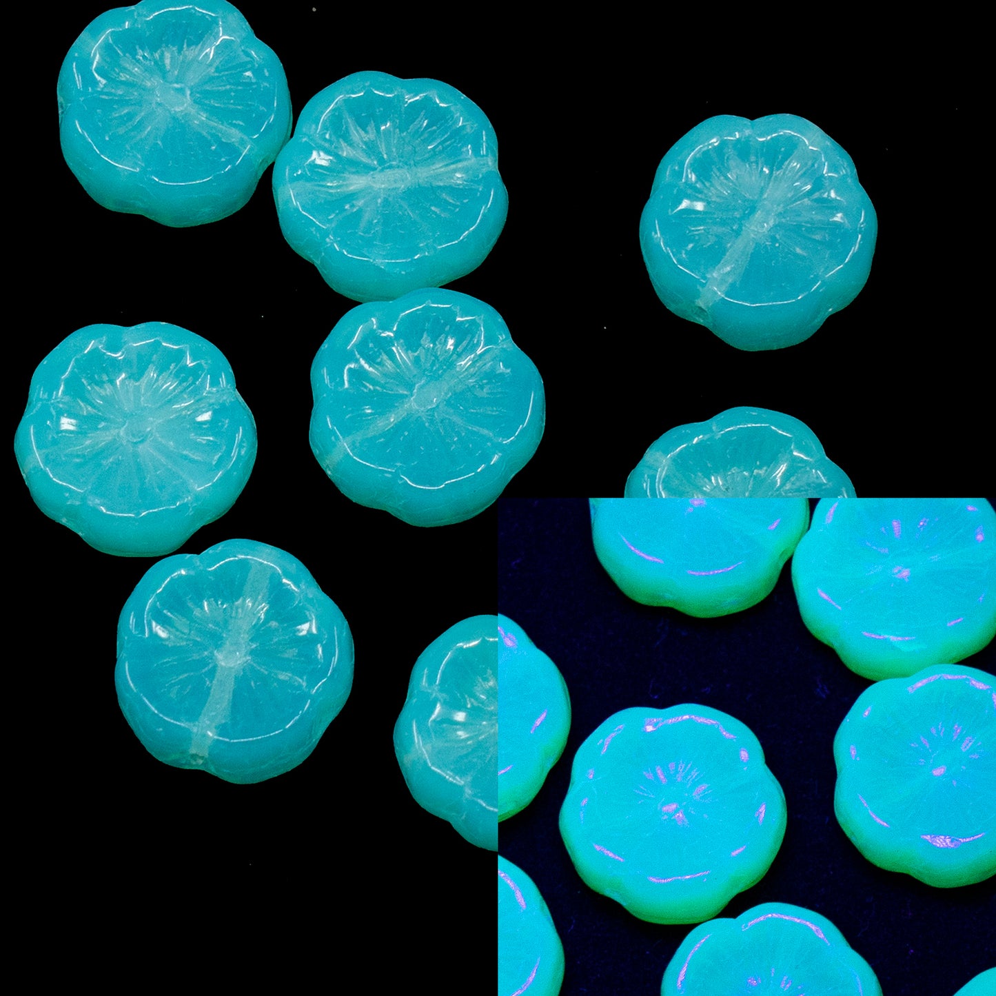 清仓 10克 压制珠,12 x 12毫米,蛋白石水蓝 (61100),玻璃,捷克共和国