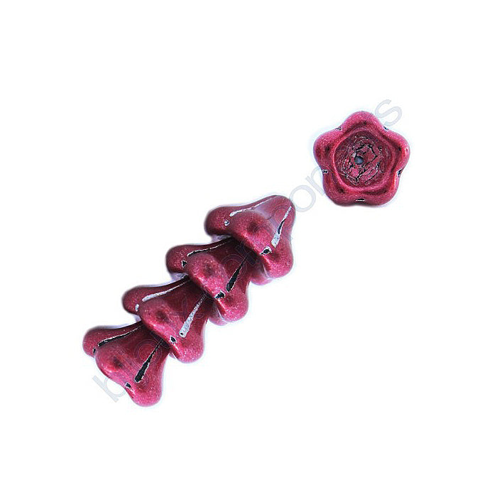 240-42032-1113-BCV_6pcs