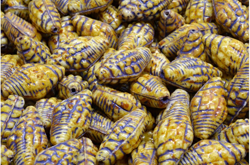 Miter Shell Beads, White Travertin Blue Lined (02010-86800-54325), Glass, Czech Republic