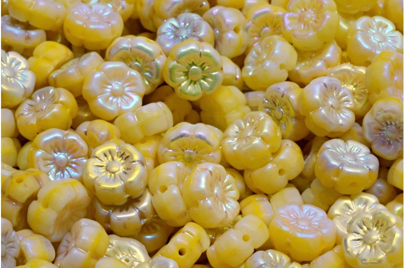 マロウフラワー、R2813 Ab Full(2X Side)(R2813-28703)、ガラス、チェコ共和国