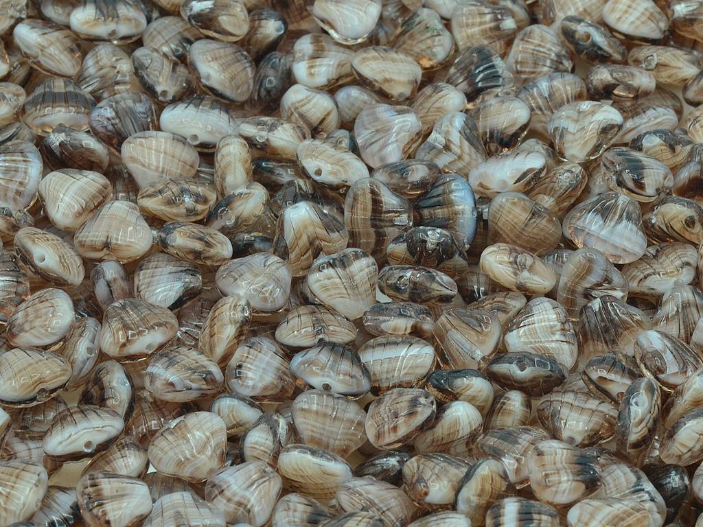 Flat Shell Beads 8 x 7 mm, 15014 (15014)