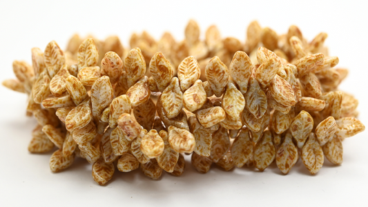 Elm Leaf Pressed Glass Beads, White Travertin (126-02010-86800), Glass, Czech Republic ~ STRANDED