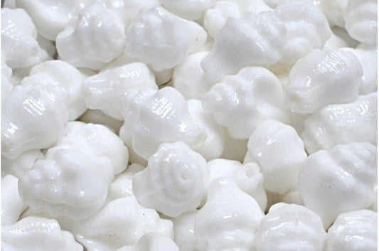OUTLET 10 grams Murex Shell Beads, White (02010), Glass, Czech Republic