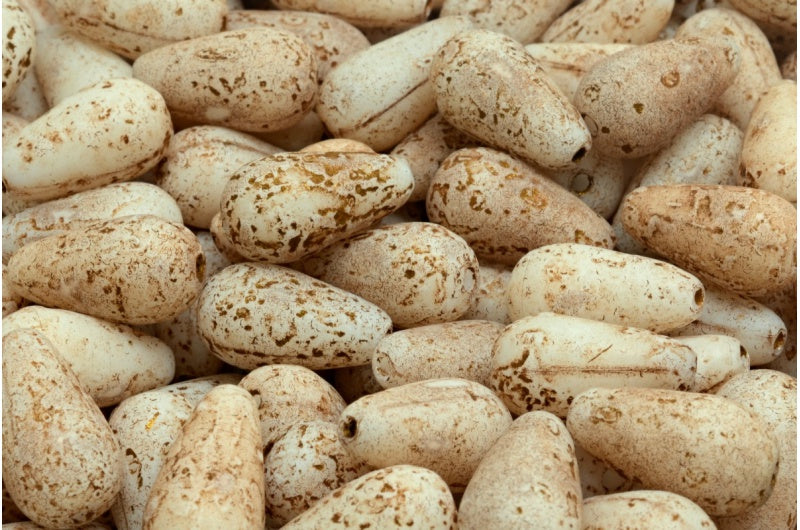 ドロップビーズ、ホワイトエッチングブロンズライン（02010-etch-54317）、ガラス、チェコ共和国