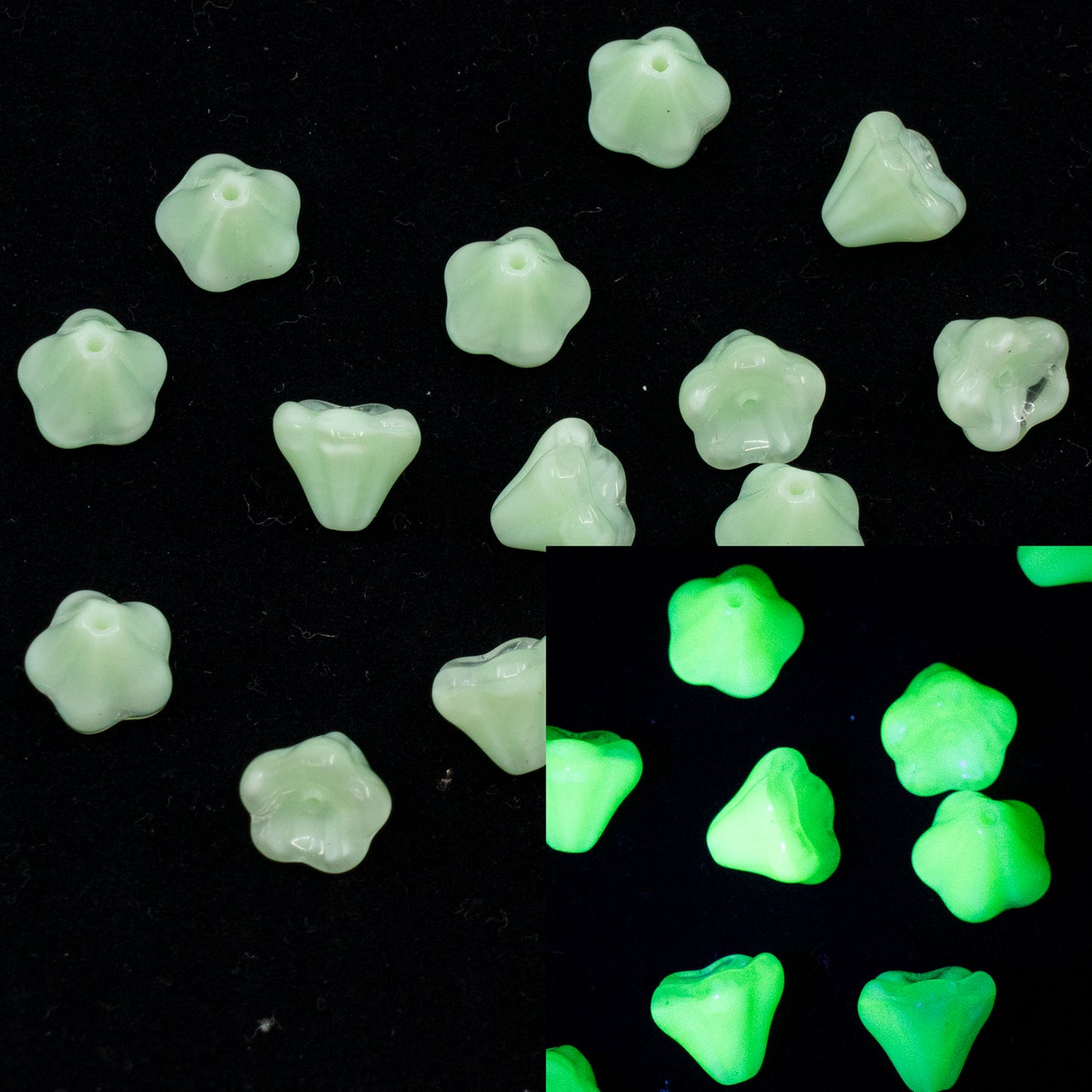 アウトレット 10グラム ベルフラワービーズ、8 x 10 mm、オパールグリーンウラン（56207）、ガラス、チェコ共和国