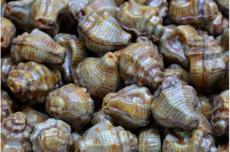 Murex Shell Beads, White Purple Brown Luster Spotted (02010-65329), Glass, Czech Republic