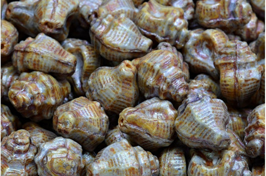 Murex Shell Beads, White Purple Brown Luster Spotted (02010-65329), Glass, Czech Republic