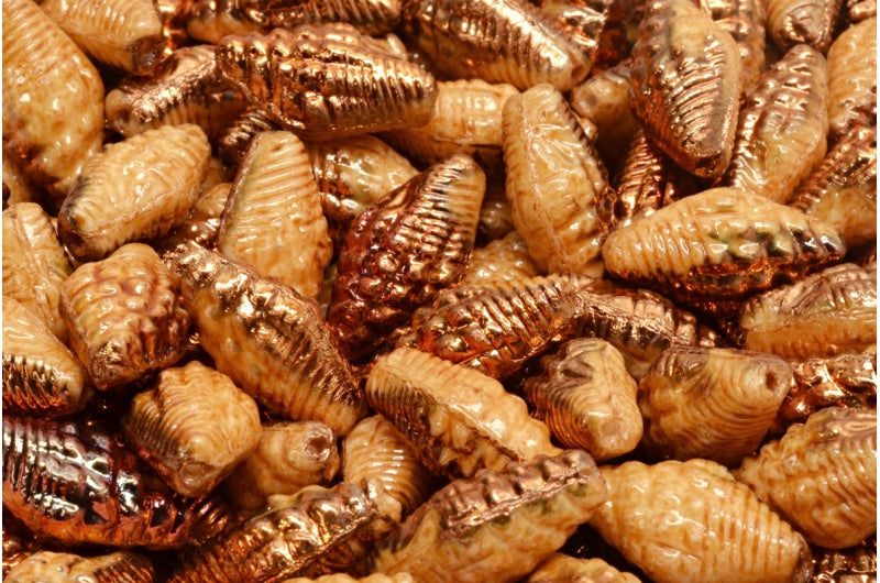 Miter Shell Beads, White Sliperit Luster Brown Full Coated (02010-29501-14413), Glass, Czech Republic