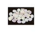 Oval Leaf Beads 00030/28783 Glass Czech Republic